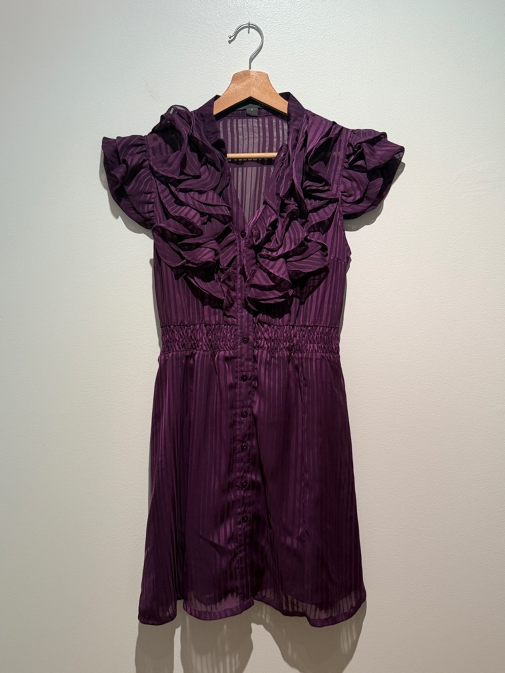 Striped Sheer Ruffled Dress in Deep Purple